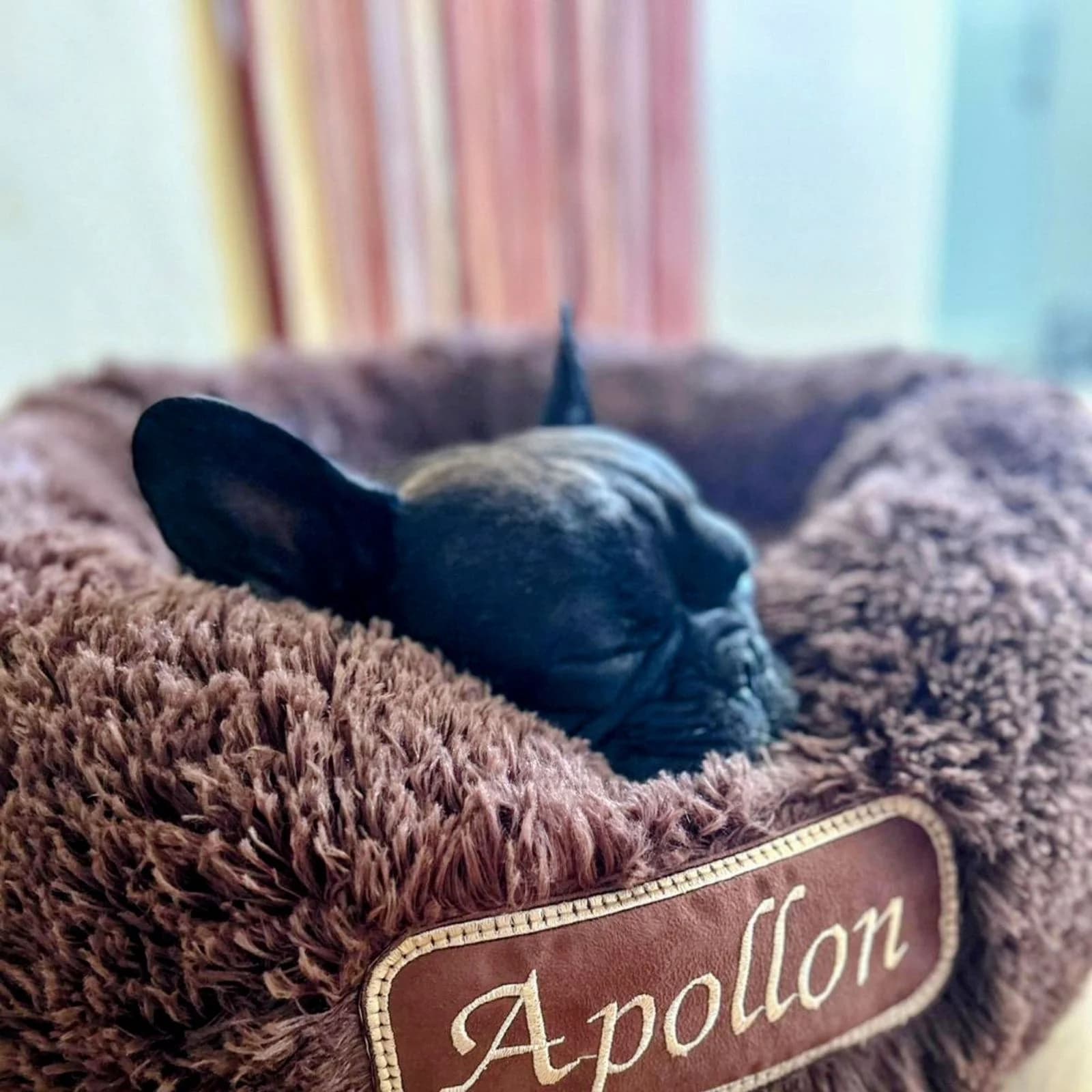 Corbeille ronde doudou pilou long marron, plaque brodée cousue, bouledogue français