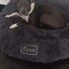 Donut pilou long gris anthracite, plaque brodée cousue, american staff