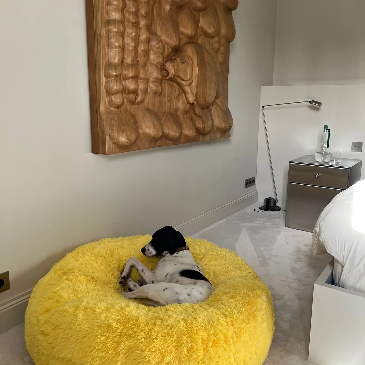 Donut pilou long jaune vif dans une chambre, jack russell — coloris inédit