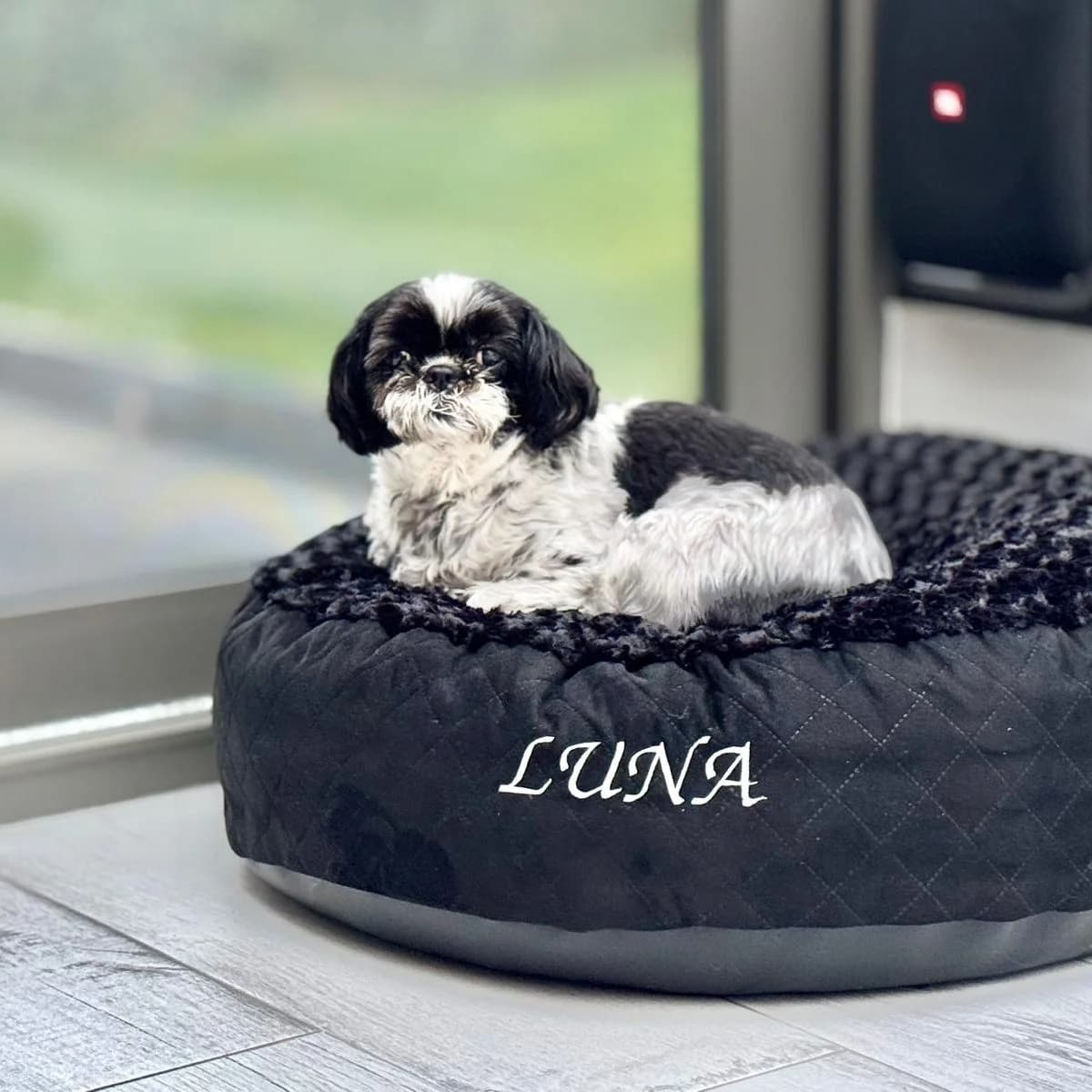 Donut noir, tour pilou bouclé noir, broderie fil blanc, shih tzu