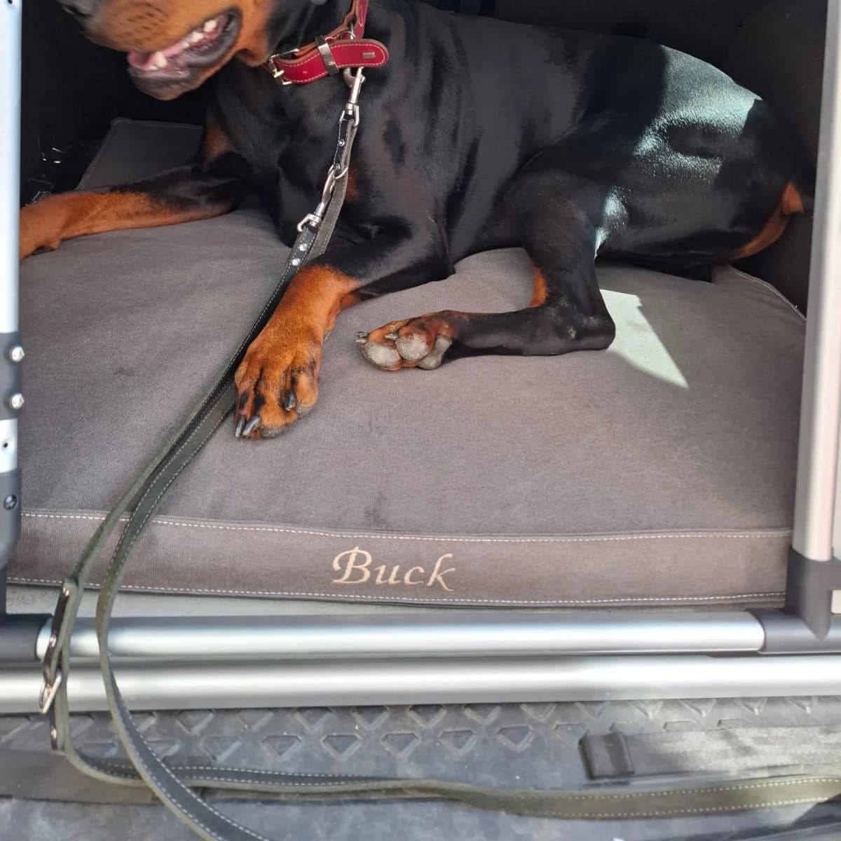 Matelas gris dans un coffre de voiture équipé d’une cage, broderie fil doré, dobermann
