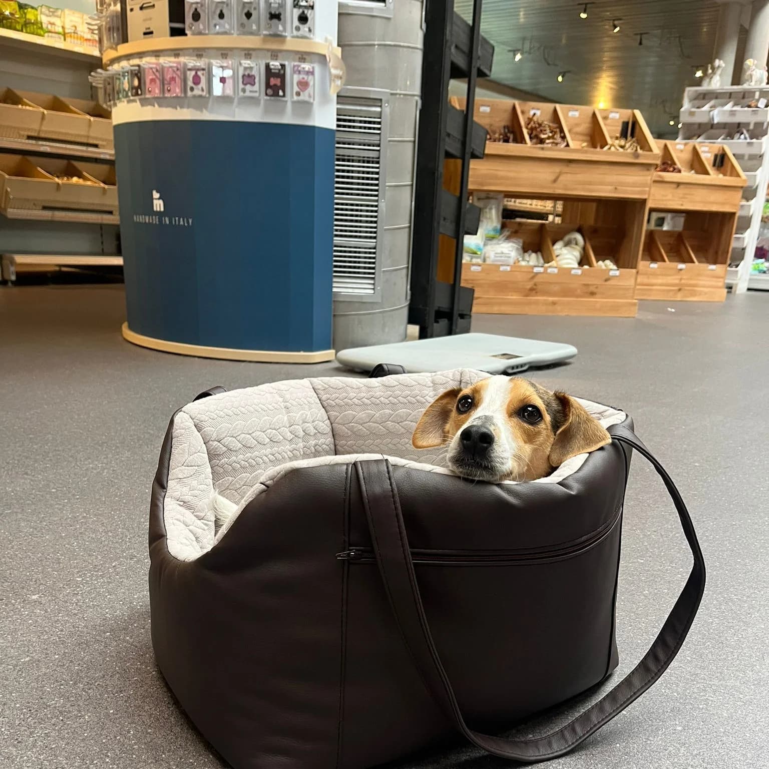 Sac double ouatinage simili cuir brun foncé, intérieur matelassé beige, jack russell (en magasin)