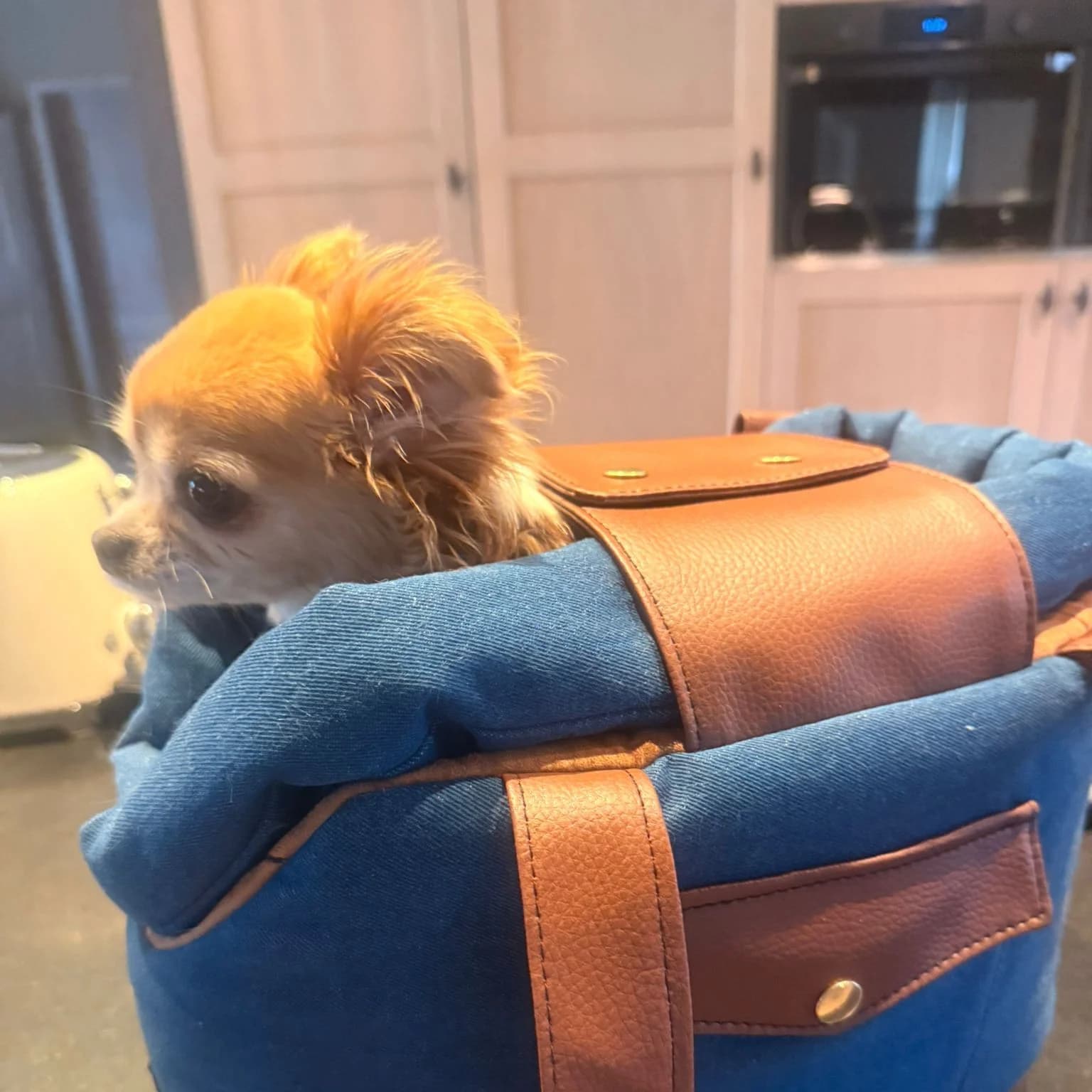 Sac double ouatinage en jean avec finitions cuir cognac, chihuahua