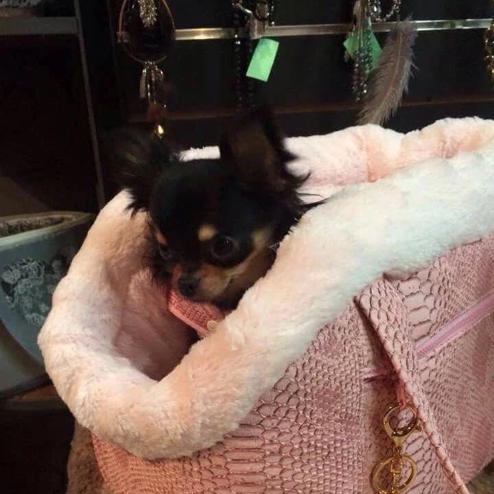 Sac double ouatinage façon croco rose poudré, col fourrure rose, chihuahua — coloris inédit