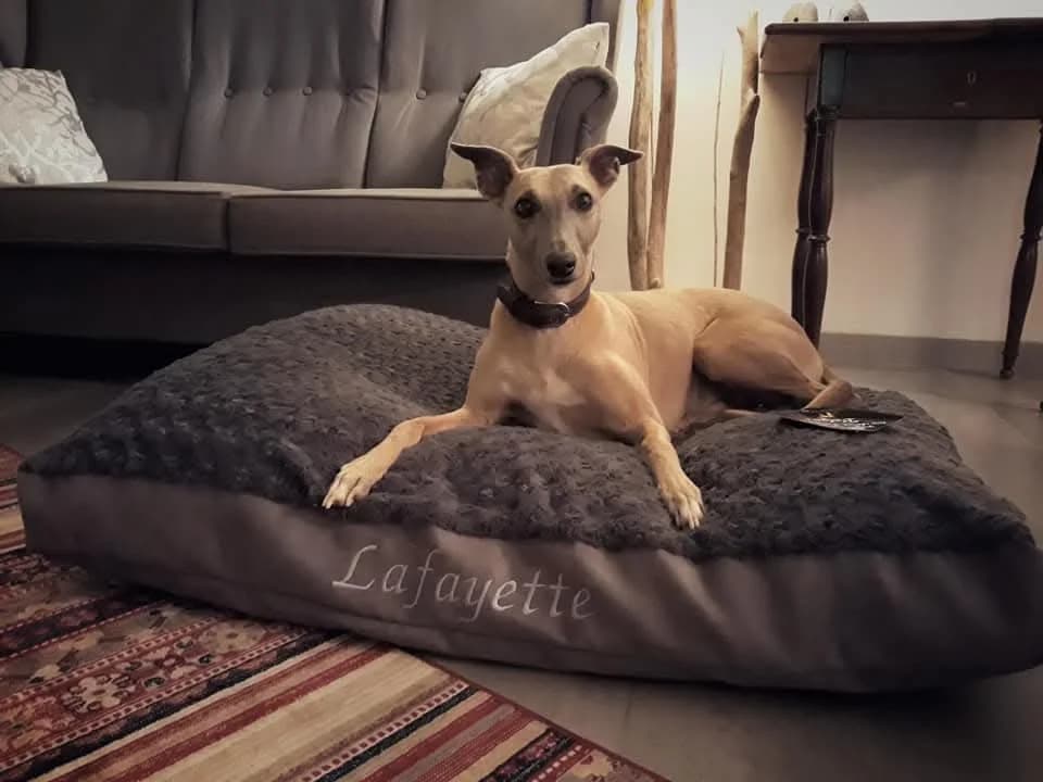 Matelas Déhoussable + broderie pour Gribouille
